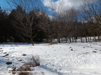 54 Bennington Greens Dr, Bennington Township, MI 48867