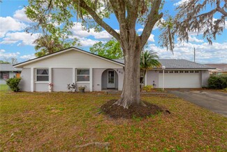 641 Pine Forest Dr, Brandon, FL 33511