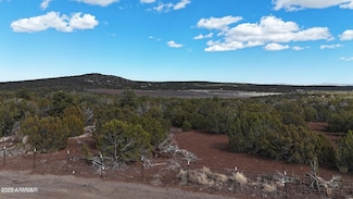 71 N 8225 -- Unit 202, Concho, AZ 85924