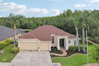 7639 Teral Ct, Trinity, FL 34655