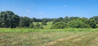 000 State Hwy 90 -65 Acres + -, Washburn, MO 65772