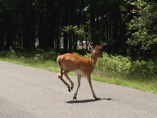 B566 Teddyuscung Trail, Penn Forest Township, PA 18210
