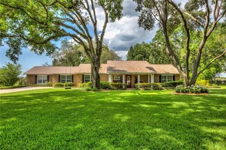 8135 Earlwood Ave, Mount Dora, FL 32757