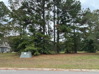 173 Cherry Laurel Dr, Wallace, NC 28466