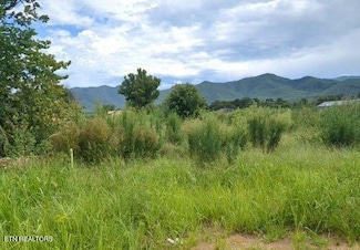 290 Bill Mauk Rd, Chuckey, TN 37641