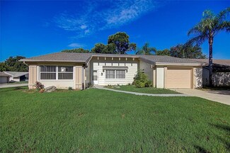 12203 Bear Trap Ln, Hudson, FL 34667