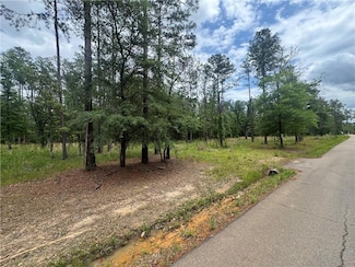 50150 Spirit of the Forest Ln, Folsom, LA 70437