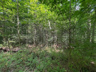 0 Goosecreek Rd, Allensville, OH 45651