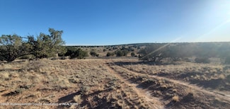 269 Windmill Rd, White Oaks, NM 88301
