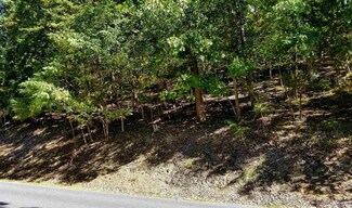 3982 Palmer Rd, McGaheysville, VA 22840