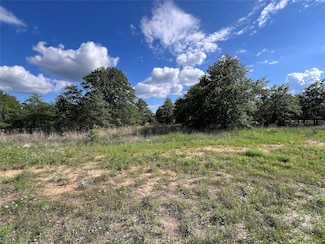 TBD Lot 31 Live Oak Trail, Clyde, TX 79510
