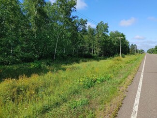 TBD Duxbury Rd, Danforth Township, MN 55072