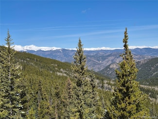 312 Sawmill Ln, Idaho Springs, CO 80452