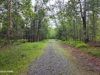 Lot 109 (Aka) Gibralter Rd, Newfoundland, PA 18445