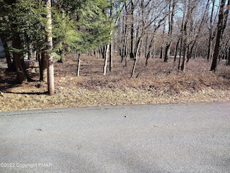 11 Cheilo Path, Coolbaugh Township, PA 18347