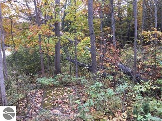 000 W Cheney Rd, Maple City, MI 49664