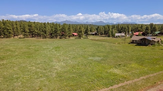 1338 Antelope Ave, Pagosa Springs, CO 81147