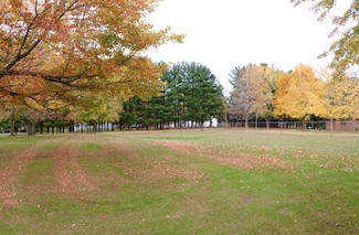 00 Locust Ln, St. Joseph Charter Township, MI 49085