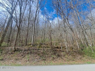 0 Jakes Branch Rd, Huntsville, TN 37847