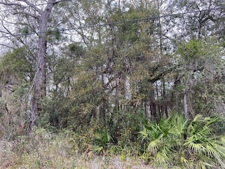 00 Purdue St, Moon Lake, FL 34654