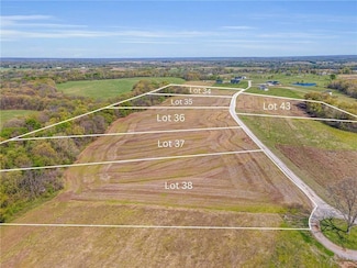 Lot 37 Airfield Ln, Richmond Township, MO 64085