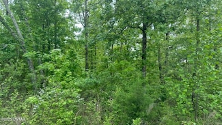 0 Arl Bailey Rd, Finger, TN 38334