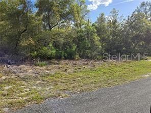 0 County Road 245c, Oxford, FL 34484