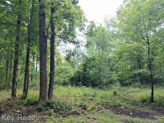 03 Joann Dr, Berlin Township, MI 48166