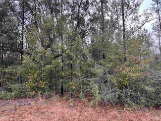 Lot 11 Pond Creek Rd, Milton, FL 32570