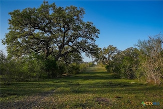 8440 Texas 239, Goliad, TX 77963