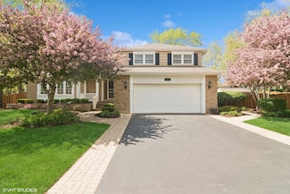 914 S Mallard Dr, Palatine, IL 60067