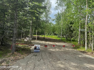 4150 N El Taino Dr, Meadow Lakes, AK 99654