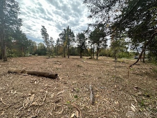 Lot 96 E White Cedar Way, Springboro, OH 45066