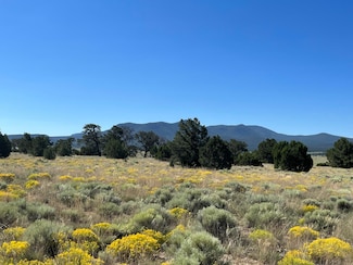 31 Reid Rd, Datil, NM 87821