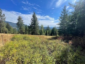 745 Dry Gulch Rd, Colville, WA 99114