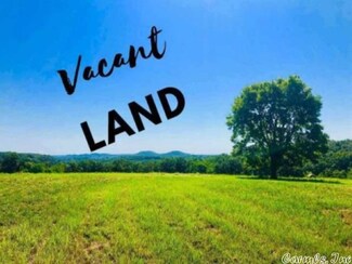 25605 Blue Gill Dr, Roland, AR 72135