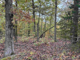 TBD Russell Ln, Hardy, AR 72542