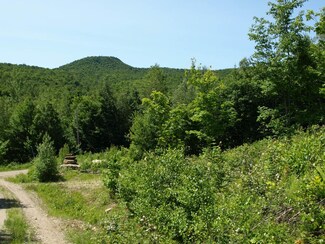 1767 Stevens Mill Rd Unit 1, Jay, VT 05859