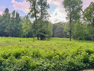 O Lark Rd, Newport, TN 37821