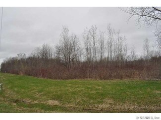 5029 Fosdick Rd, Walworth, NY 14568