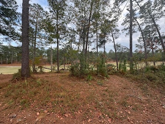 0-Lot 2 Birdie Place, Graniteville, SC 29829