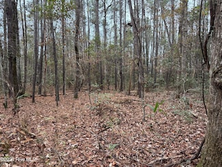 0 Near 715 N Carolina 133, Rocky Point, NC 28457