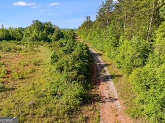 0 Hutcheson Ferry Rd Unit 10523589, Whitesburg, GA 30185
