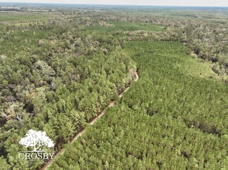 Tbd Duncan Bridge Rd, Millwood, GA 31552