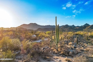 2676 Cougar Canyon Trail, Tucson, AZ 85755