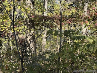 TBD BLK 4 Wundurvue Cir, Climax Springs, MO 65324