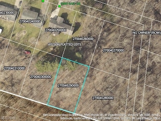 0 E (Lot 40 Block D) Rear (Wilson) Dr, Beallsville, OH 43716