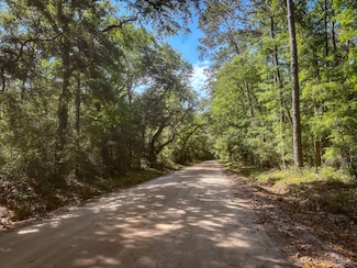 2109 Leadenwah Dr, Wadmalaw Island, SC 29487