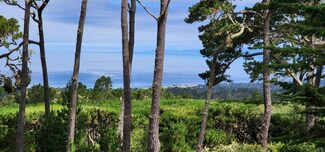 53 Ocean Pines Ln, Pebble Beach, CA 93953