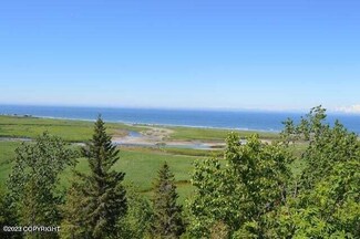 34101 Hms Resolution Rd, Anchor Point, AK 99556